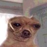 Gian's profile picture