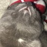 catty's profile picture