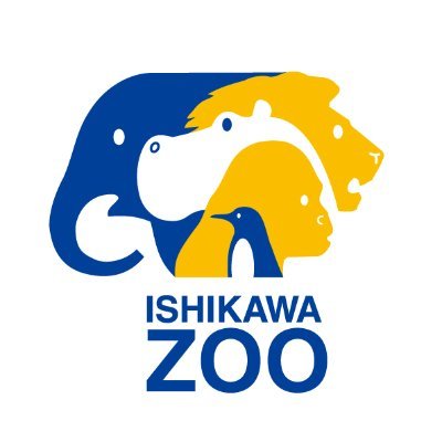 ishikawazoo_jp's profile picture