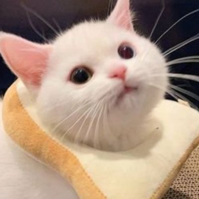 mahloola's profile picture