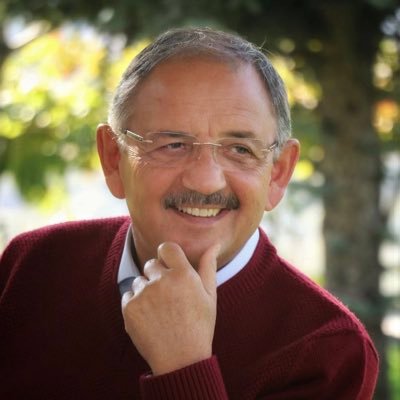 Mehmet Özhaseki's profile picture