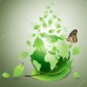 Green World 的头像