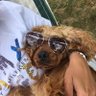 Brightside's profile picture