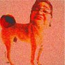 Arren's profile picture