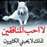 محمود 的头像