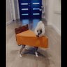 Фото профиля Yo Momma likes me