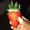 Gisela Tavares's profile picture