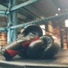 Boxing Pro profil fotoğrafı