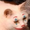 Profilbild von Konstantine