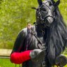 Profilbild von Rubber Neigh- Folsom Berlin