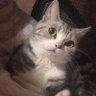 Michael's profile picture