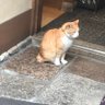 サバカン profil fotoğrafı