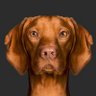 Profilbild von Ronnie T