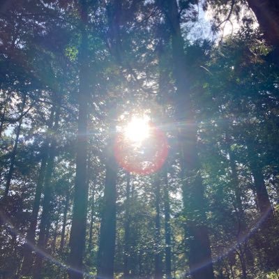 mi32136845's profile picture