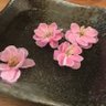 大野16 profil fotoğrafı