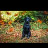 Фото профиля Greg Shelton