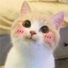 Minerva LG's profile picture