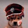 Stephany's profile picture