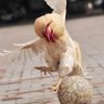 Jack profil fotoğrafı