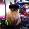 sɐןoɔı̣N profil fotoğrafı