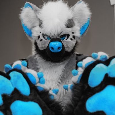 RenoHyena's profile picture