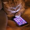 Фото профиля NeuroScientificCat Коты Не Хотят Войны!!