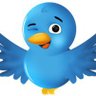 المواطن العراقي's profile picture