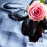 Фото профиля Agnes Wilson