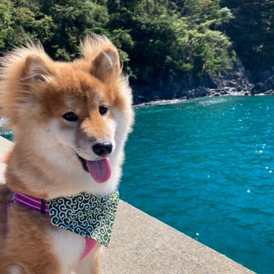 おぽん's profile picture