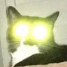 Human's profile picture