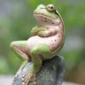 Profilbild von NokiGeo