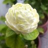 Фото профиля Vera