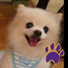 💯天才夢来山 来夢ちゃん 雪組's profile picture