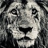 Civil Roar 的头像