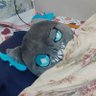 伸正's profile picture