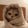 Фото профиля Lalu?