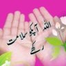 Mdsamsul Ansari's profile picture