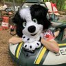 Clyde Collie profil fotoğrafı