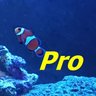 琥珀目猫猫 profil fotoğrafı