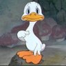 me profil fotoğrafı