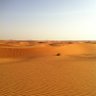 العتيبي .. 🇸🇦 的头像