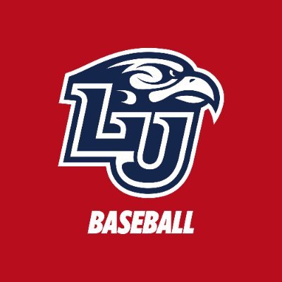 Liberty Baseball's profile picture