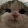 Stanley's profile picture