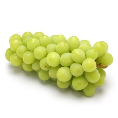 mus_cat__'s profile picture