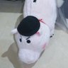 Profilbild von หมูตัวเมีย