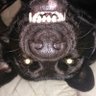 Profilbild von Mr Simo