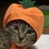 ユミ's profile picture