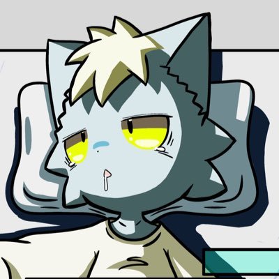 フェスティフェスティバル's profile picture