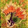 Фото профиля Abhinow