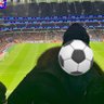 HV profil fotoğrafı